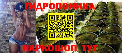 спиды Лесосибирск