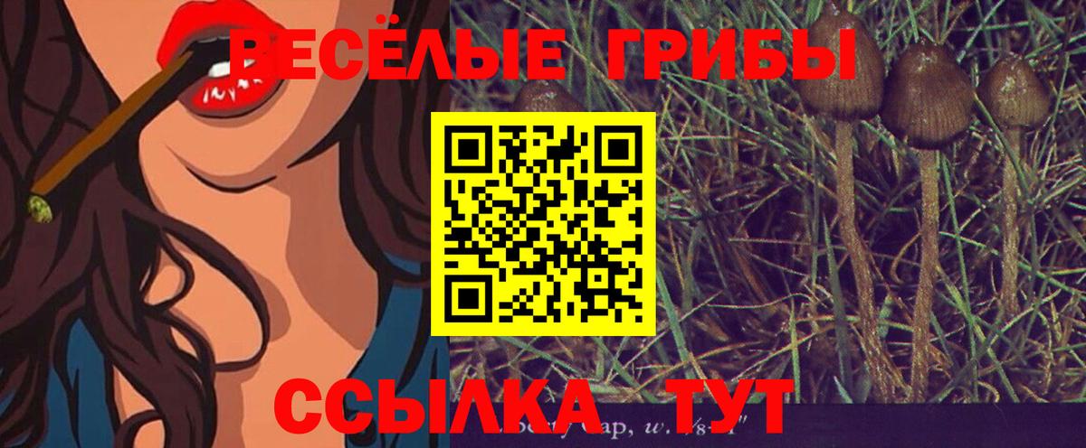 Галлюциногенные грибы Magic Shrooms Тольятти