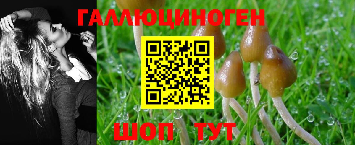 наркотики  Вход с VPN  Тольятти  Галлюциногенные грибы Magic Shrooms 
